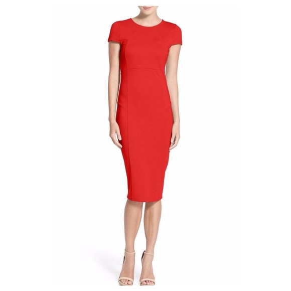 Felicity & Coco Dresses & Skirts - Felicity & Coco Seamed Pencil “Ward” Dress XL